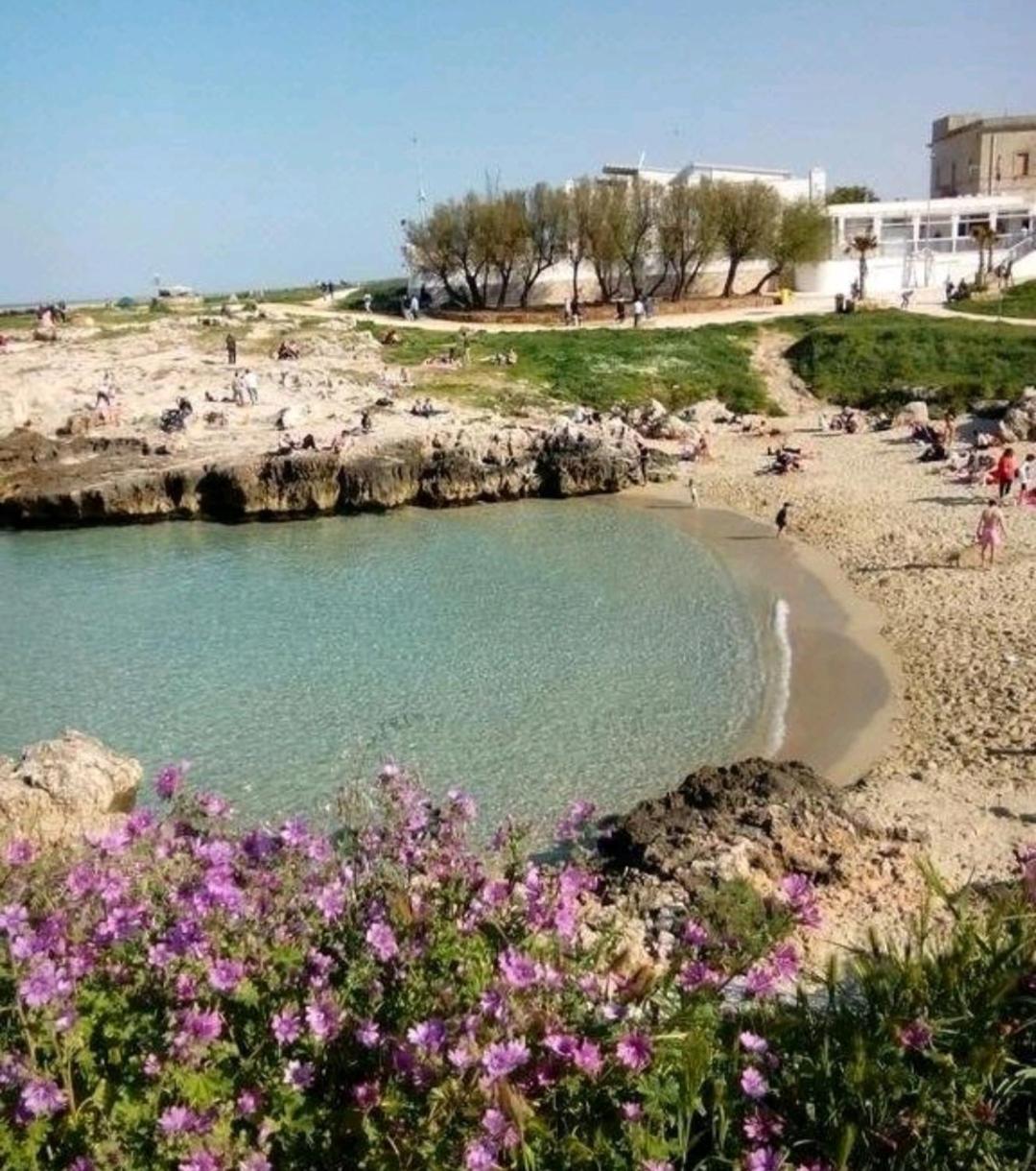 Da Luigi Locazioni Brevi Turistiche Bed & Breakfast Монополи Екстериор снимка